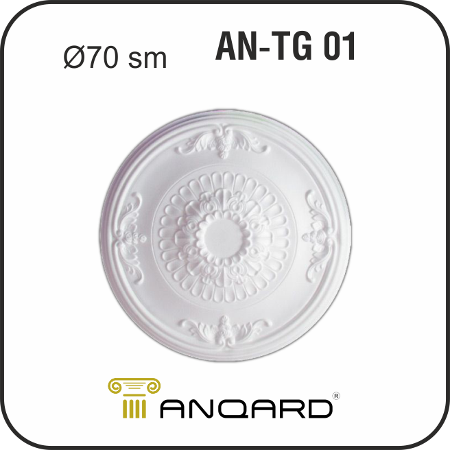 AN-TG 01